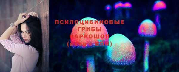 дмт Армянск