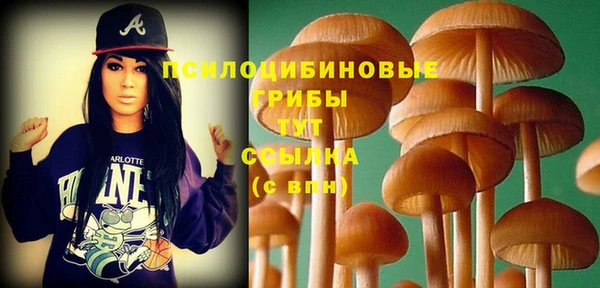 каннабис Арсеньев