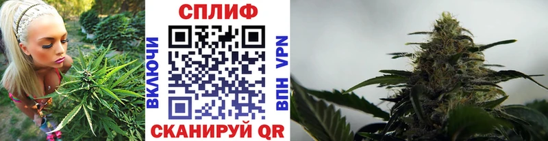 МАРИХУАНА ГИДРОПОН Слюдянка
