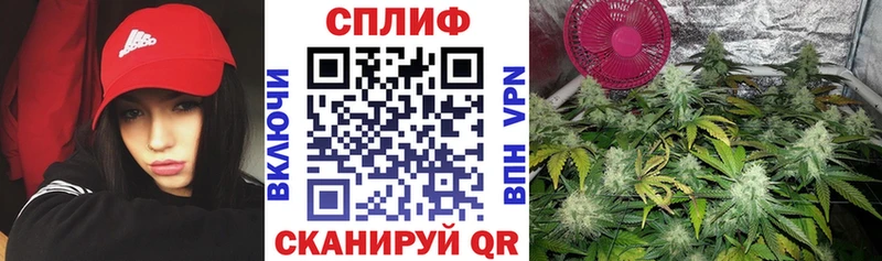 где можно купить наркотик  Слюдянка  МАРИХУАНА Bruce Banner 